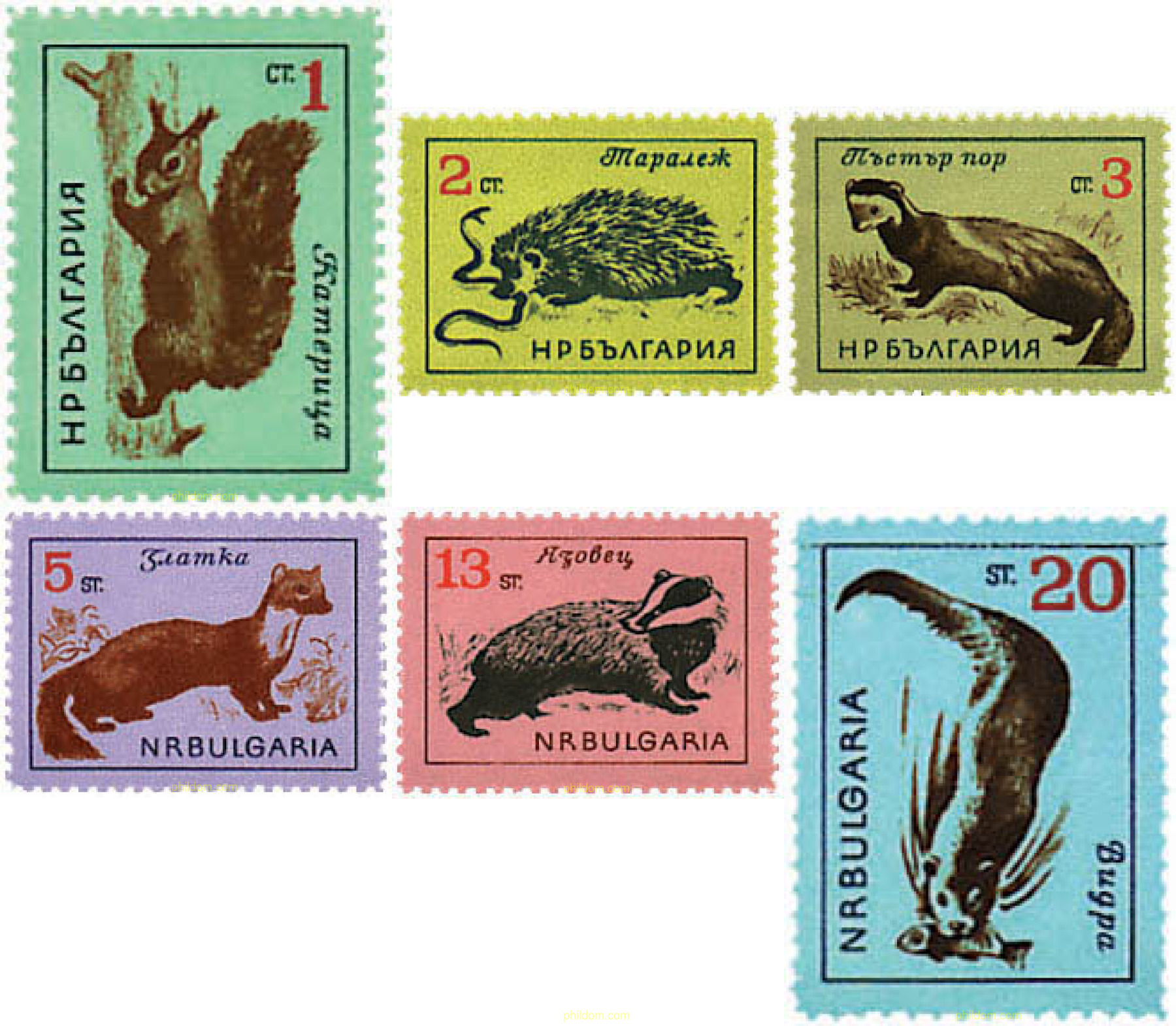 FAUNA SALVAJE