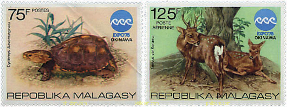 EXPOSICION OCEANOGRAFICA EN OKINAWA